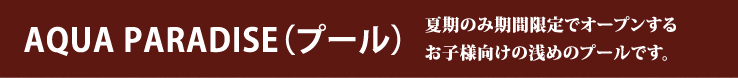アクアパラダイス
