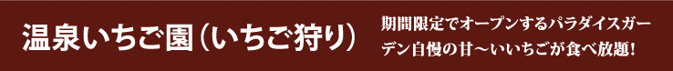 温泉いちご園