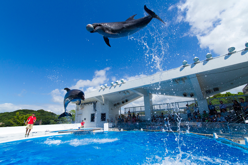 九十九島水族館 海きらら