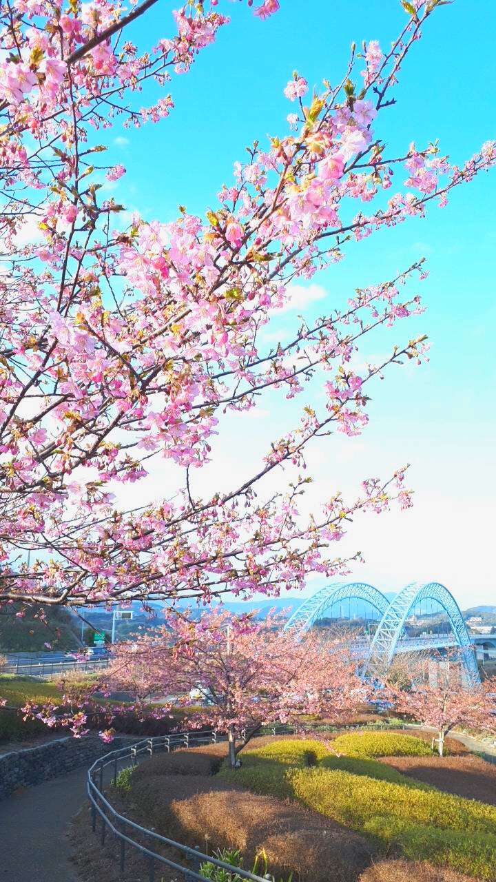 ☆西海橋公園に行ってきました