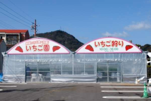 温泉いちご園(いちご狩り)